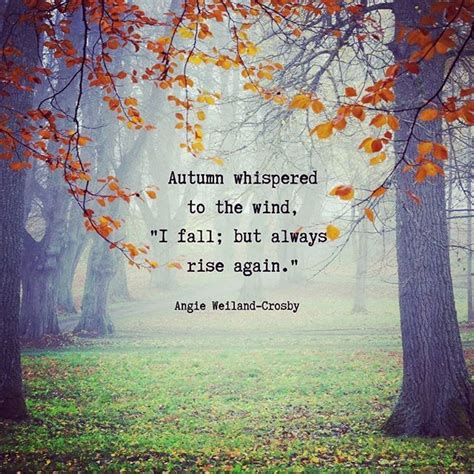 Midnight allure autumn magic